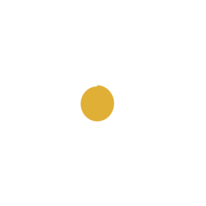 illustration fleur blanche