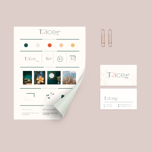 Identité visuelle 2